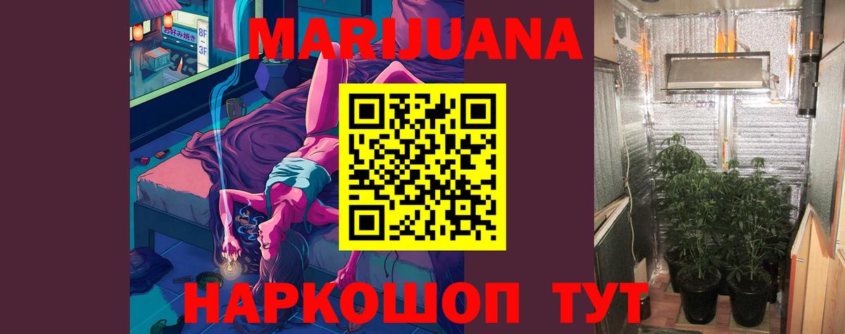 Волхов  Марихуана Ganja  Конопля MAZAR  Вход с VPN 